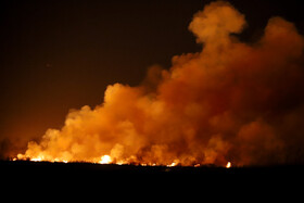 آتشسوزی در بخش نیزارهای خشک تالاب میقان اراک  بر اثر صاعقه