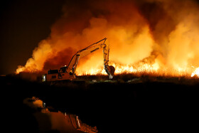 آتشسوزی در بخش نیزارهای خشک تالاب میقان اراک  بر اثر صاعقه