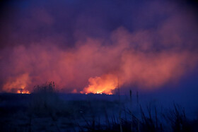 آتشسوزی در بخش نیزارهای خشک تالاب میقان اراک  بر اثر صاعقه