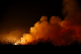 آتشسوزی در بخش نیزارهای خشک تالاب میقان اراک  بر اثر صاعقه