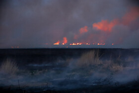 آتشسوزی در بخش نیزارهای خشک تالاب میقان اراک  بر اثر صاعقه