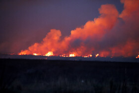 آتشسوزی در بخش نیزارهای خشک تالاب میقان اراک  بر اثر صاعقه