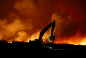 آتشسوزی در بخش نیزارهای خشک تالاب میقان اراک  بر اثر صاعقه