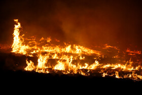 آتشسوزی در بخش نیزارهای خشک تالاب میقان اراک  بر اثر صاعقه