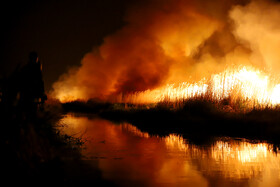 آتشسوزی در بخش نیزارهای خشک تالاب میقان اراک  بر اثر صاعقه