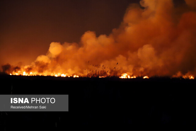 آتشسوزی مراتع و چارهای که باید برای آن اندیشید