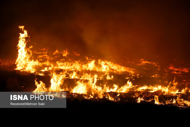 آتشسوزی مراتع و چارهای که باید برای آن اندیشید