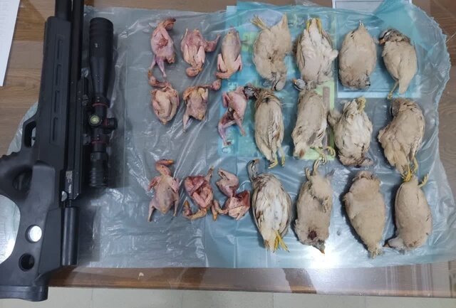 سه شکارچی متخلف در دشتی دستگیر شدند