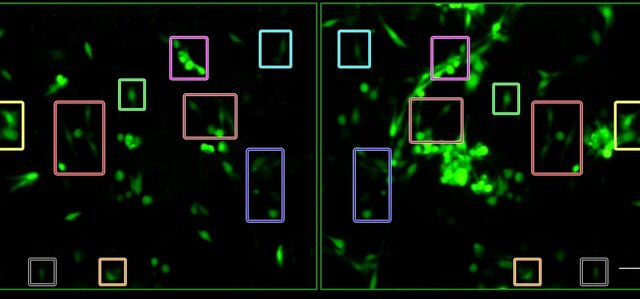 وقتی «کارخانههای مقالهسازی» پیشرفت یک کشور را تهدید میکنند