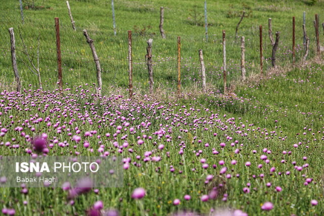 چشماندازهای طبیعی شهرستان گرمی
