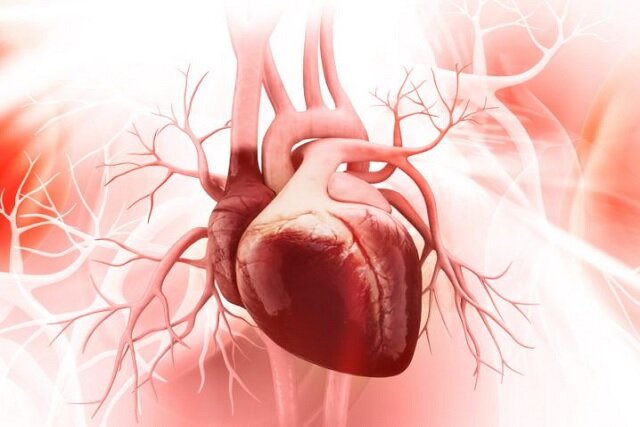 عکس تزیینی است. نقش "دیابت" در بروز بیماریهای قلبی و عروقی