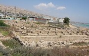 مدیرکل میراث فرهنگی بوشهر: قدمت تمدنی استان به ۸۰۰۰ سال رسید