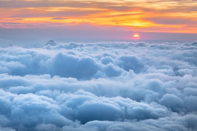 یافتن ۲۰۸۰۰ ژن مقاوم به آنتی بیوتیک در ابرها! یافتن ۲۰۸۰۰ ژن مقاوم به آنتی بیوتیک در ابرها!