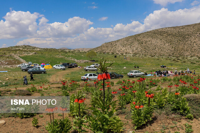 شمال جنوب ایران را بشناسید