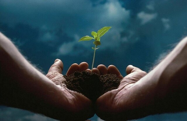 وکیل برای امور اوقاف و کارکرد او در مسیر حقوقی