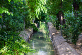 مادی نیاصرم، میراثی از دل باستان