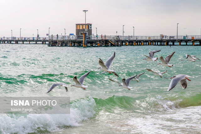 حدود ۹۵ درصد ظرفیت سواحل ایران نادیده گرفته شده است