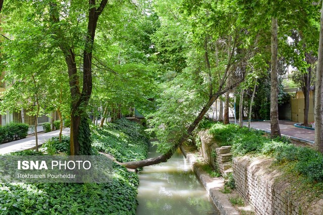 روایتی زنده از مادیهای اصفهان، رگهای فراموششده یک شهر زنده