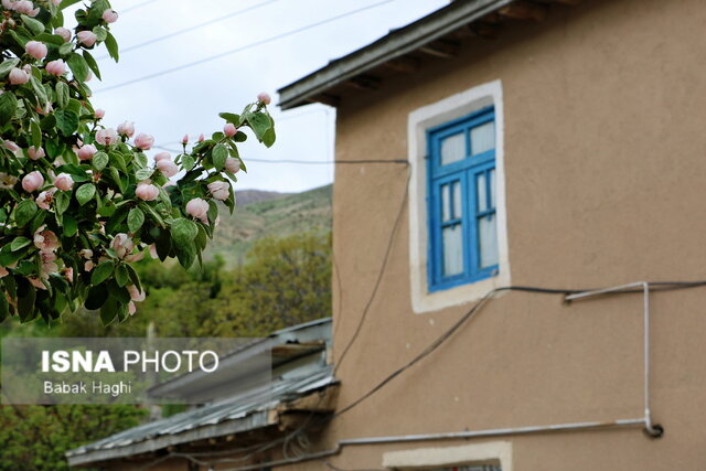 طبیعت بکر و زیبای روستای گیلوان