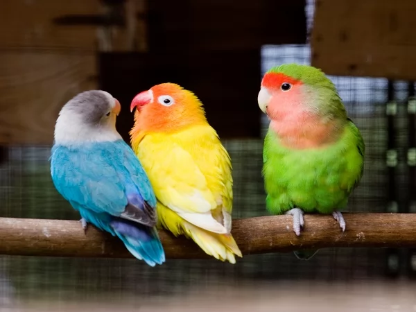 از حشرههای جوانمرگ تا ماهیهای چند صدساله!