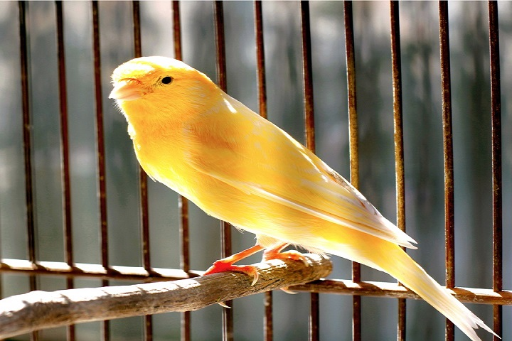 از حشرههای جوانمرگ تا ماهیهای چند صدساله!
