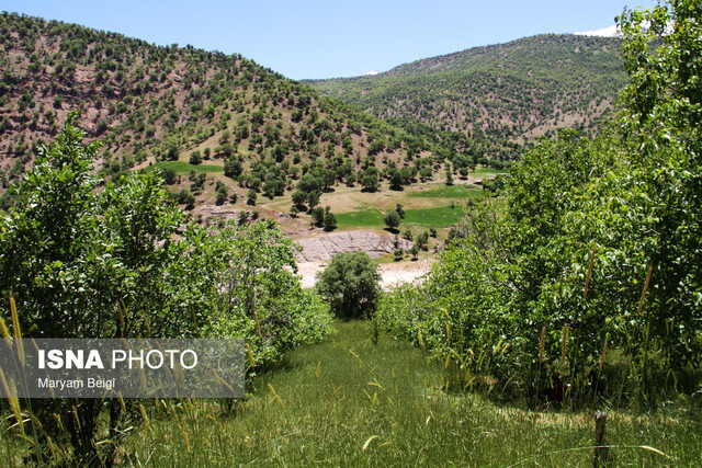 بهار دلنشین در شهرستان کوهرنگ