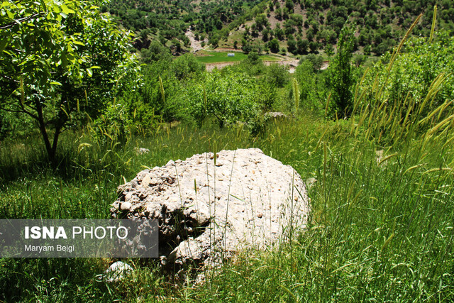 بهار دلنشین در شهرستان کوهرنگ