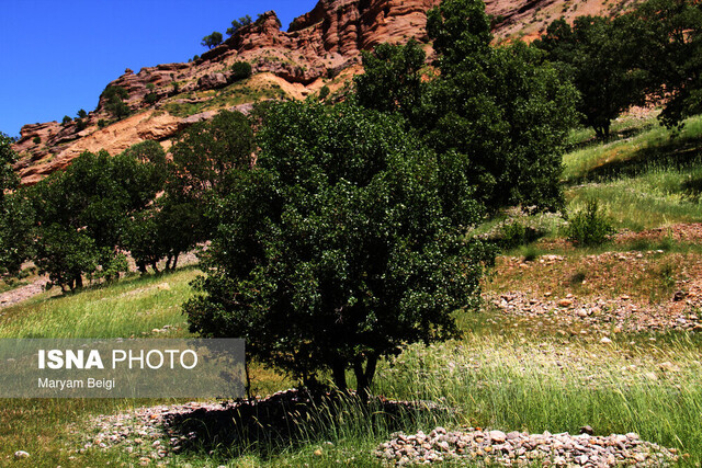 بهار دلنشین در شهرستان کوهرنگ