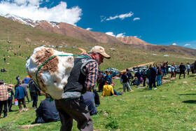 آیین «ورف چال» در روستای «آب اسک» آمل
