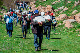 آیین «ورف چال» در روستای «آب اسک» آمل