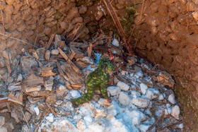 آیین «ورف چال» در روستای «آب اسک» آمل