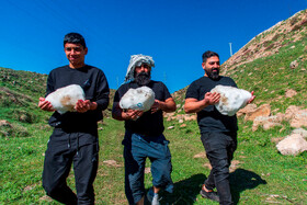 آیین «ورف چال» در روستای «آب اسک» آمل