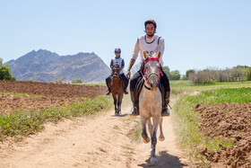 مسابقات اسب سواری استقامت کشوری در خرم آباد