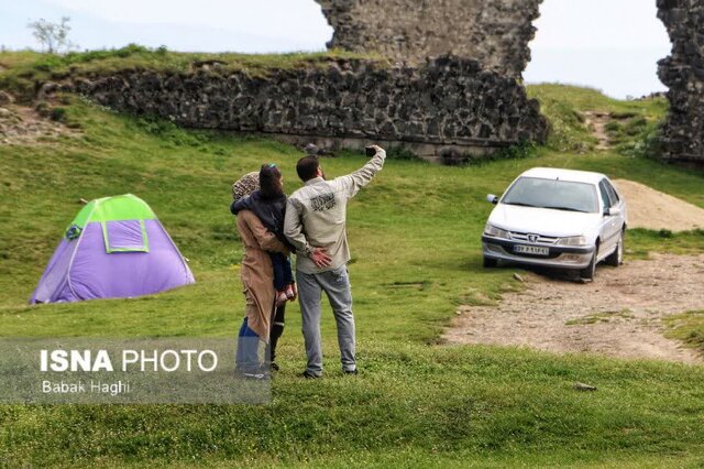 جنگل فندقلو؛ سرزمین گلهای بابونه