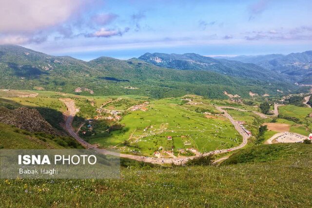 جنگل فندقلو؛ سرزمین گلهای بابونه