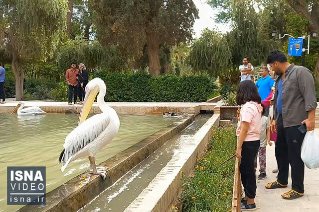 ویدیو / باغ گلشن طبس، بهشتی در کویر