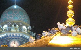 برگزاری جشنواره کبوتر حرم ۳۰ اردیبهشت در سمنان/ ارسال ۵۰۰ اثر به این جشنواره ملی