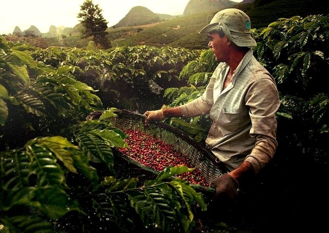 چگونه تعاونیها به دولتها کمک میکنند؟