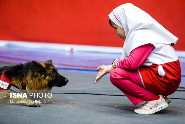 عکس از آرشیو مشارکت ۳۵۰ دانشآموز خوزستانی در طرح ملی "آماده"