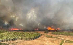 آتش‌سوزی‌ جنگلی در کانادا و تخلیه شبانه هزاران نفر