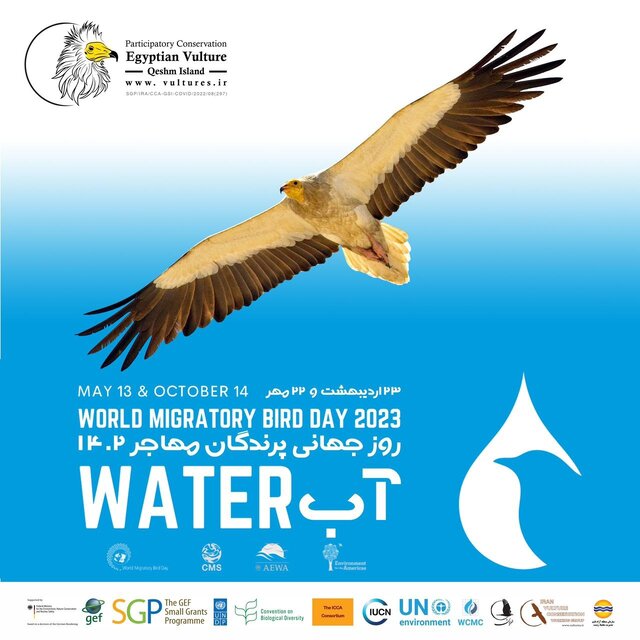 بحران جهانی آب؛ بلای جان پرندگان مهاجر و زیستگاههایشان