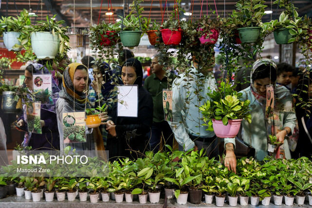 طراوت طبیعت در قلب کویر/برپایی دوازدهمین نمایشگاه گل و گیاه یزد طراوت طبیعت در قلب کویر/برپایی دوازدهمین نمایشگاه گل و گیاه یزد