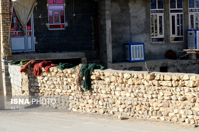 به نام و کام دلال “قالی نشین”