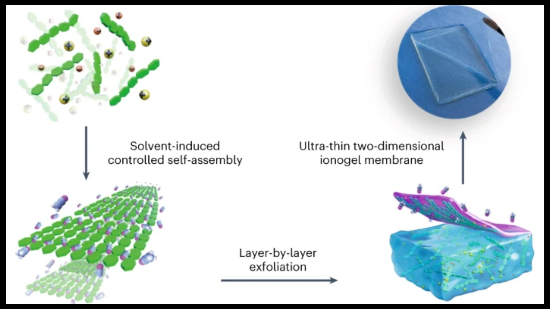 شیر میتواند ابزارهای پوشیدنی را متحول کند