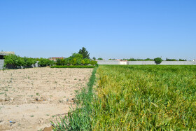 مهمترین منبع تامین آب کشاورزان روستای شیدان، زاینده رود است.