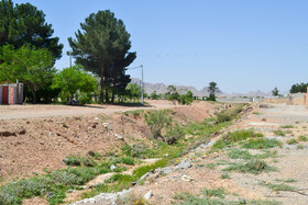 کانال آب روستای شیدان که به محلی برای رختن زباله تبدیل شده است.