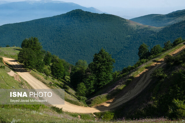 برگه زمینشناسی مهندسی رودبار کوهپایه جهت شناسایی مخاطرات طبیعی تهیه میشود برگه زمینشناسی مهندسی رودبار کوهپایه جهت شناسایی مخاطرات طبیعی تهیه میشود