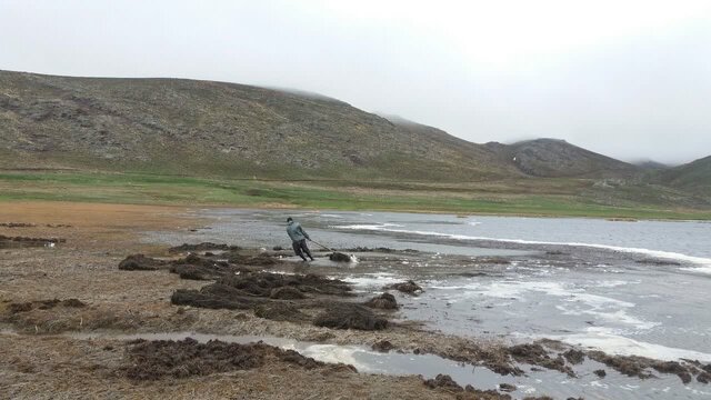 ۱۵ تن بقایای ضایعات گیاهان از تالاب حفاظت شده نئور جمعآوری شد ۱۵ تن بقایای ضایعات گیاهان از تالاب حفاظت شده نئور جمعآوری شد