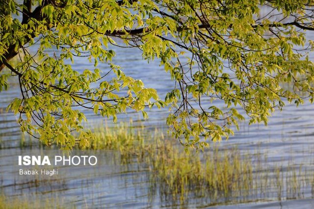 خودنمایی بهار در شهر اردبیل