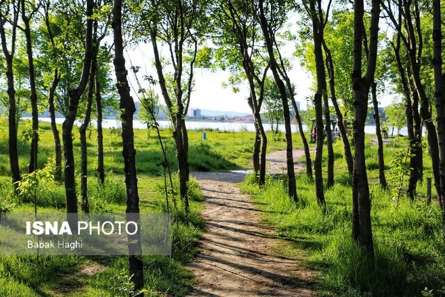 خودنمایی بهار در شهر اردبیل